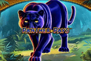 Playtech : Panther Pays - SPONSOR777