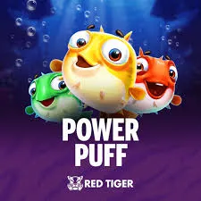Power Puff - SPONSOR777
