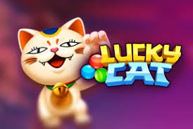 Funky : Lucky Cat - SPONSOR777